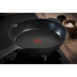 Poêle Tefal ROBUSTO 24CM Ø 24 cm