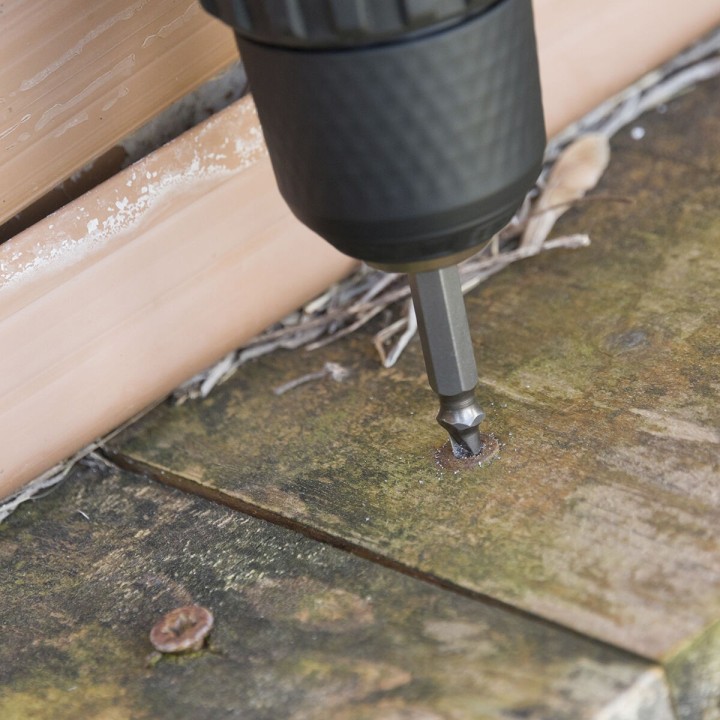 image imprimée ou numérique