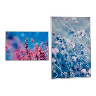 Carte postale microlorge