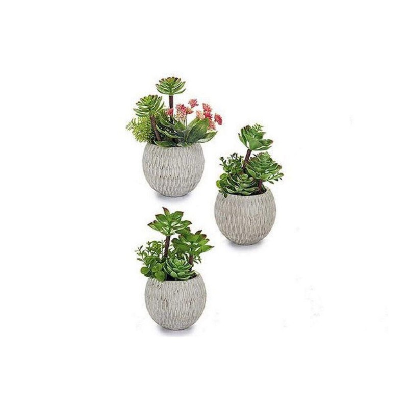 Plante décorative 16 x 22,5 x 13 cm Céramique Gris Vert Plastique