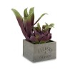 Plante décorative Plastique Bois Marron (15 x 28 x 15 cm)