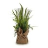 Plante décorative BIG-S3603753 Violet Marron Vert Plastique 16 x 40 x 16 cm