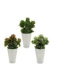 Plante décorative Rouge Orange Vert Plastique 10 x 22 x 10 cm Vert clair