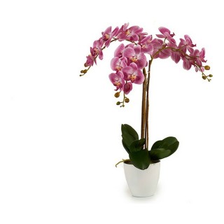 Carte postale microlorge