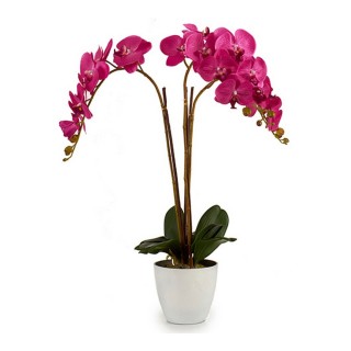 Carte postale microlorge