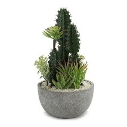 Cactus BIG-S3601496...