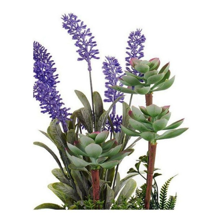 Carte postale microlorge