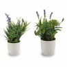 Plante décorative 8430852573469 Violet Liège Blanc Vert Plastique 15 x 29 x 15 cm