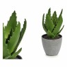 Plante décorative 8430852770639 14 x 21 x 14 cm Gris Vert Plastique