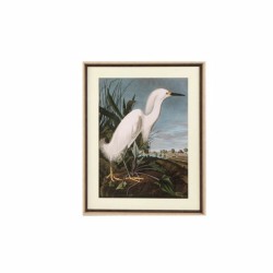 Cadre DKD Home Decor Oiseau...