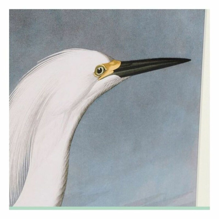 image imprimée ou numérique