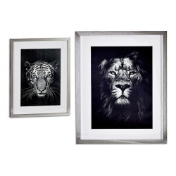 Cadre Lion - Tiger (43 x 3...