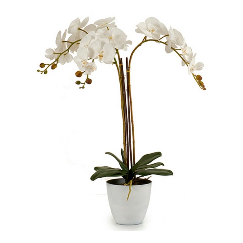 Plante décorative Plastique