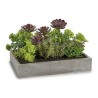 Plante décorative Rectangulaire 16,5 x 20 x 28,5 cm Ciment Plastique