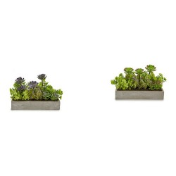 Plante décorative Rectangulaire 16,5 x 20 x 28,5 cm Ciment Plastique