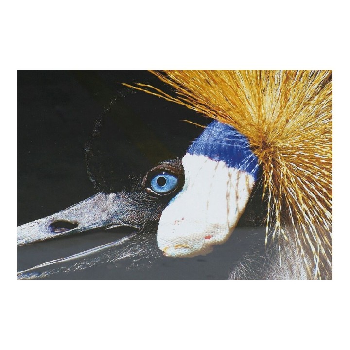 Carte postale microlorge