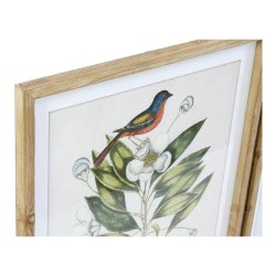 Cadre DKD Home Decor Bird...