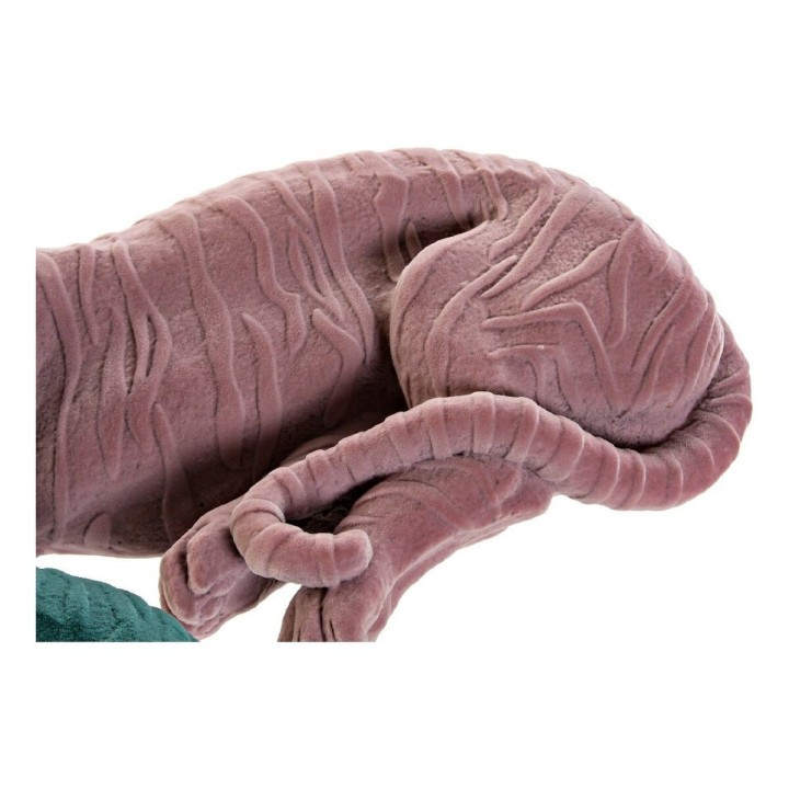 image imprimée ou numérique