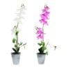 Plante décorative DKD Home Decor 8424001819430 21 x 21 x 82 cm Lila Blanc Orchidée (2 Unités)