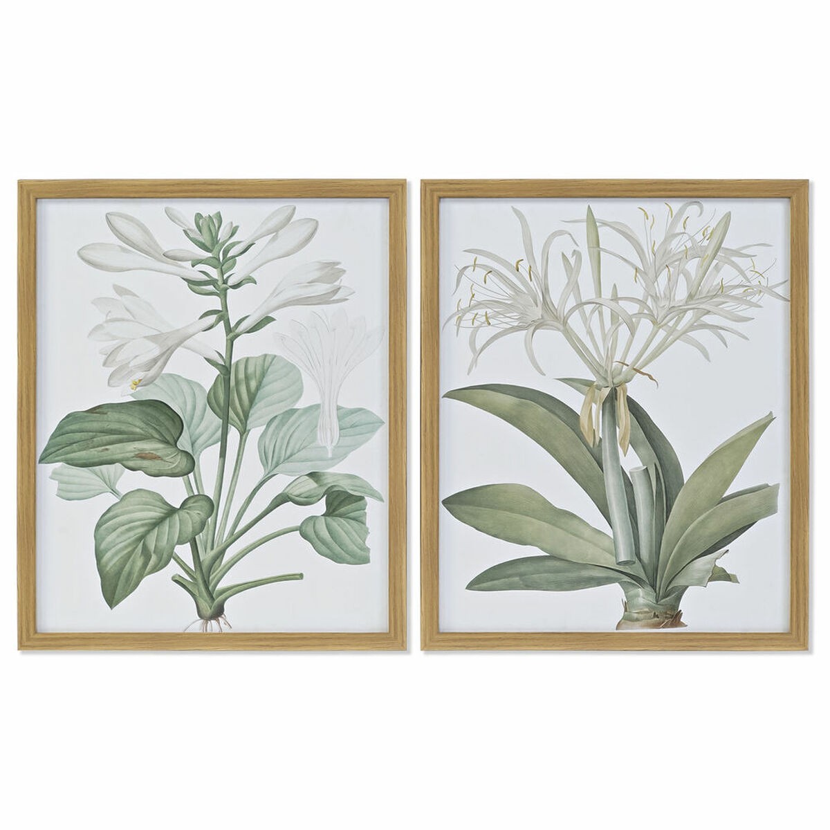 /291194/cadre-dkd-home-decor-43-x-3-x-53-cm-plantes-botaniques-2-unites.jpg