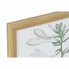 Cadre DKD Home Decor 43 x 3 x 53 cm Plantes botaniques (2 Unités)