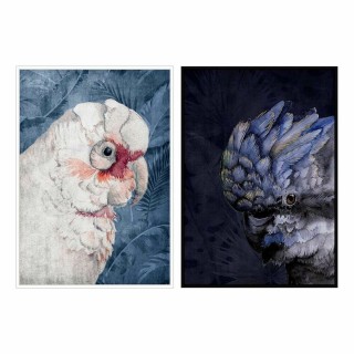 Carte postale microlorge