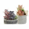 Plante décorative DKD Home Decor Cactus Résine Polyéthylène 11 x 11 x 21 cm (2 Unités)