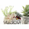 Plante décorative DKD Home Decor Résine Polyéthylène Cactus 12 x 12 x 18 cm (2 Unités)