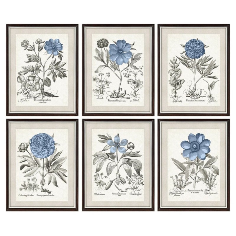 Cadre DKD Home Decor Fleurs Moderne 50 x 2 x 65 cm (6 Pièces)