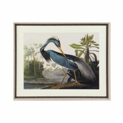 Cadre DKD Home Decor Oiseau...