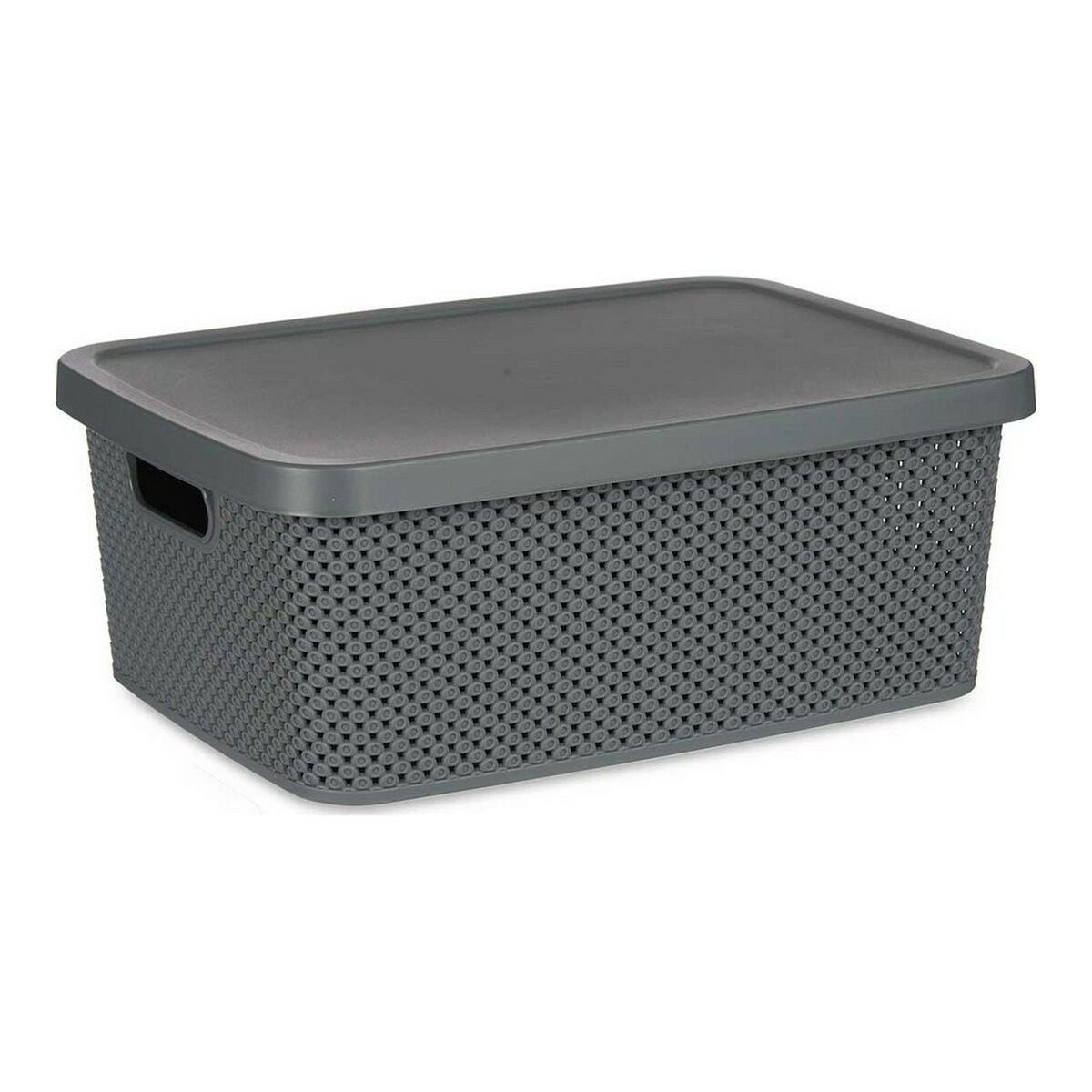 /295984/boite-de-rangement-avec-couvercle-28-x-15-5-x-39-cm-anthracite-13-l.jpg