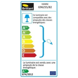 BRILLIANT Potelet extérieur Led Hanni 2,5W