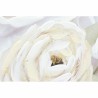 Cadre DKD Home Decor Vase 100 x 3 x 80 cm Shabby Chic (2 Unités)