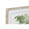 Cadre DKD Home Decor 55 x 2 x 70 cm Shabby Chic Plantes botaniques (6 Pièces)