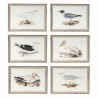 Cadre DKD Home Decor 70 x 2,5 x 50 cm Traditionnel Oiseaux (6 Pièces)