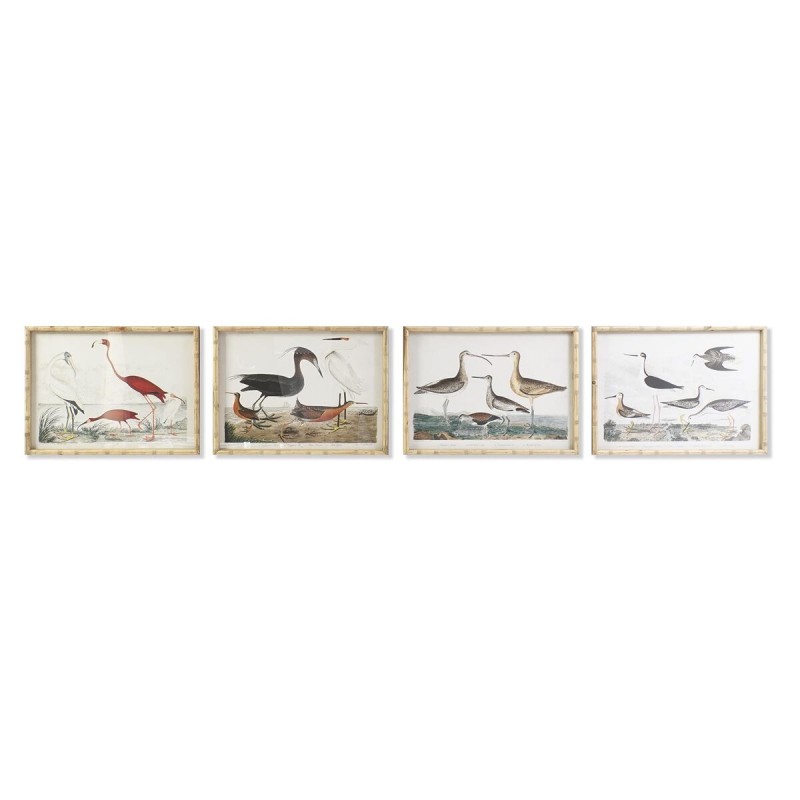 Cadre DKD Home Decor 60 x 2,8 x 45 cm Oiseaux Moderne (4 Pièces)