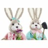 Figurine Décorative DKD Home Decor 20 x 17 x 49 cm Bleu Rose Marron Lapin (2 Unités)