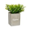 Plante décorative Gris Ciment Vert Plastique 13 x 20 x 13 cm