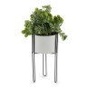 Plante décorative Blanc Eucalyptus Avec support Noir Métal Vert Plastique 14 x 40 x 14 cm