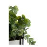 Plante décorative Blanc Eucalyptus Avec support Noir Métal Vert Plastique 14 x 40 x 14 cm