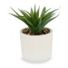 Plante décorative Blanc Vert Plastique