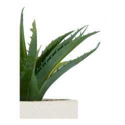 Plante décorative Blanc Vert Plastique