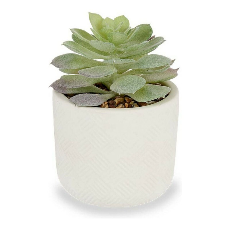 Plante décorative Blanc Vert Plastique