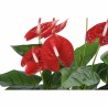 Plante décorative DKD Home Decor Rouge Vert PE (50 x 50 x 110 cm)