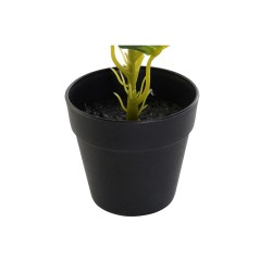 Plante décorative DKD Home Decor PVC polypropylène 25 x 25 x 30 cm