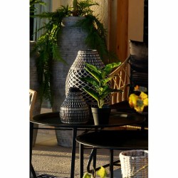 Plante décorative DKD Home Decor PVC polypropylène 25 x 25 x 30 cm