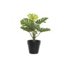 Plante décorative DKD Home Decor PVC polypropylène 20 x 20 x 30 cm