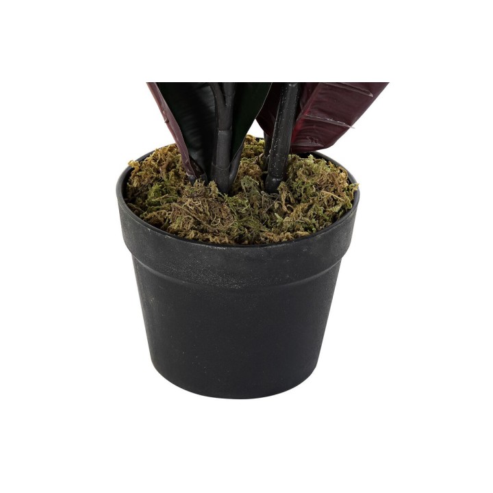 image imprimée ou numérique