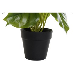 Plante décorative DKD Home Decor PVC polypropylène 20 x 20 x 30 cm