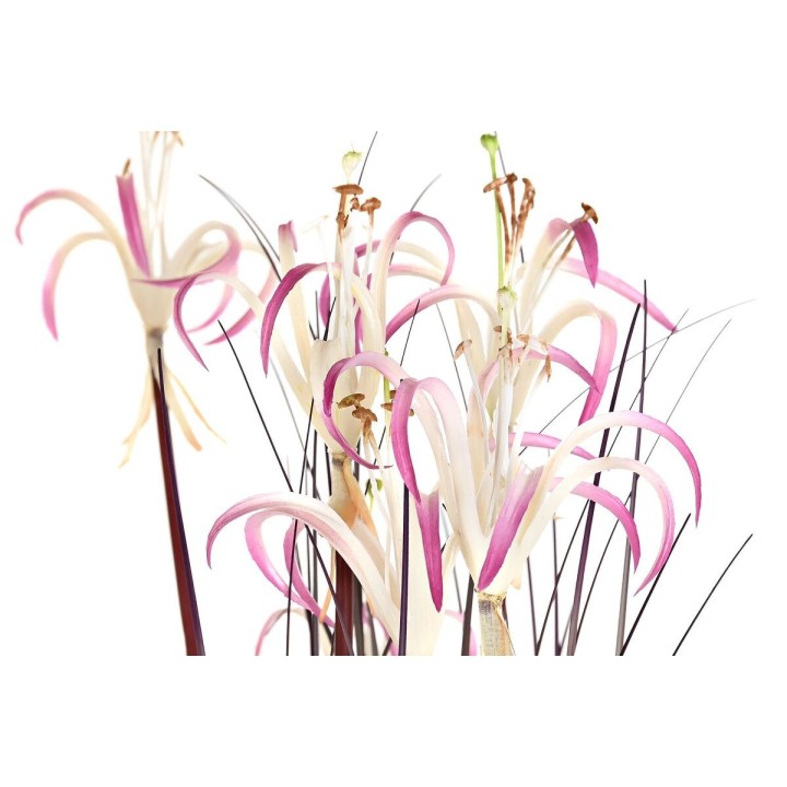 image imprimée ou numérique